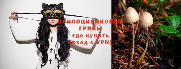 эйфоретик Армянск